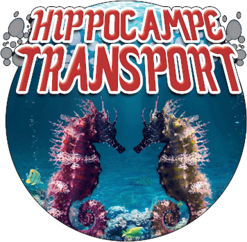 HIPPOCAMPE TRANSPORT